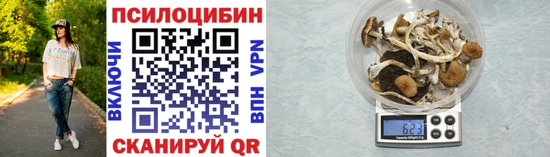 гидра сайт  Сураж  Псилоцибиновые грибы Psilocybine cubensis 