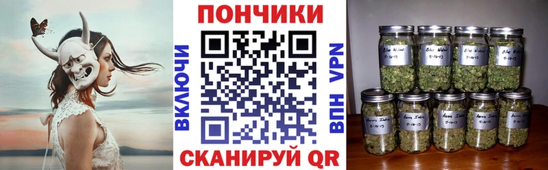 наркошоп  Сураж  Бошки марихуана конопля 
